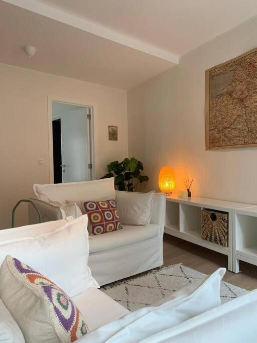 Cozy Studio In Centre Of Old Town Amberes Exterior foto